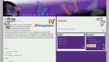 Purple Butterfly