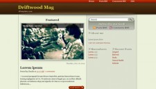 Driftwood Mag