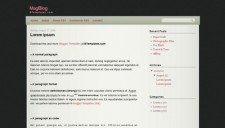 MagBlog