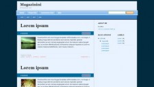Magazinini