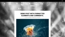 Singl Blogger Template
