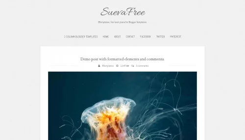 Free template SuevaFree 2019 