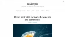 tdSimple Blogger Template