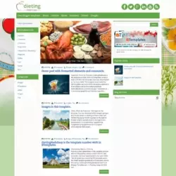 DietingMadeEasy Blogger Template