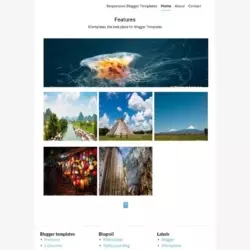 Features Blogger Template