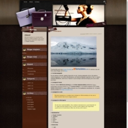 Handbags Blogger Template