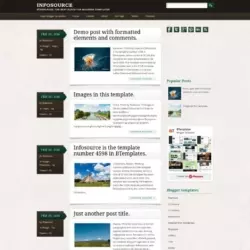 Infosource Blogger Template