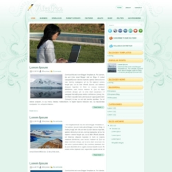 NicePen Blogger Template