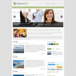 OpenBiz Blogger Template