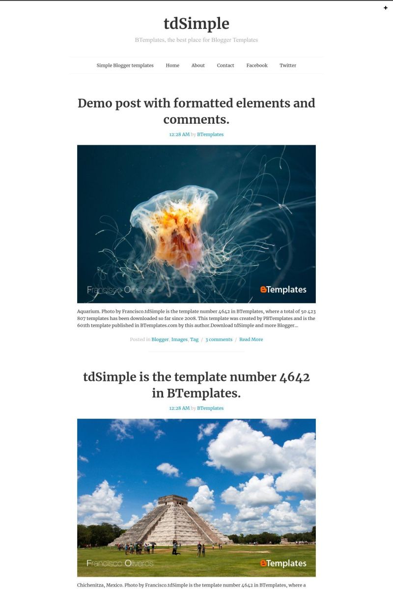 Download tdSimple Blogger Template