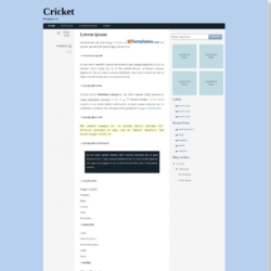 Cricket Blogger Template