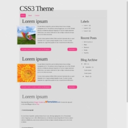CSS3 Theme Blogger Template