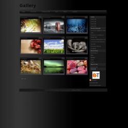 Gallery Blogger Template