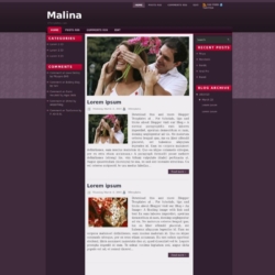 Malina Blogger Template