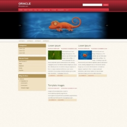 Oracle Blogger Template