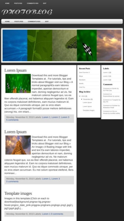 Photo Blog Blogger Template - BTemplates