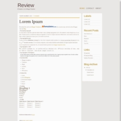 Review Blogger Template