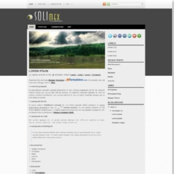 Solimex Blogger Template