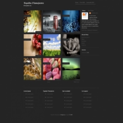 Tequilas Flamejantes Blogger Template