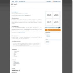 WP Soul Blogger Template