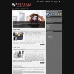 WP Stream Blogger Template